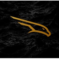 Falcons Company logo - Similar company to Falcons Company