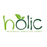 Holic LLC logo - Similar company to Holic