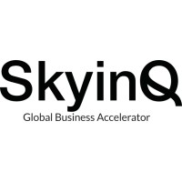 SkyinQ logo - Similar company to Global Digital Innovation Network
