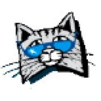 Kool Kat Web Designs, LLC