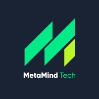 MetaMind Tech logo - Similar company to Tech Team Interactive