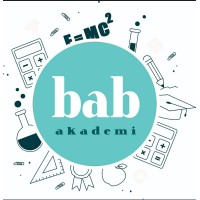 BABakademi logo - Similar company to Trk Consulting