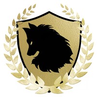 More Life Digital Solutions logo - Similar company to Streamer
