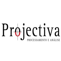 Projectiva Pesquisa De Mercado Ltda logo - Similar company to Agrodata Company