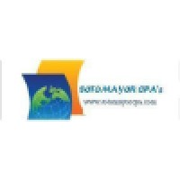 Sotomayor & Associates, Llp