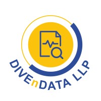 DIVEnDATA LLP logo - Similar company to Aicy Technologies Pvt. Ltd.
