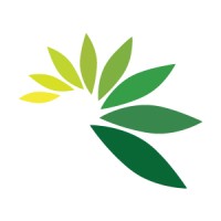 Cassava Bags Australia logo - Similar company to Soane Technologies