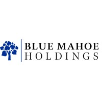 Blue Mahoe Holdings logo - Similar company to Fundblackfounders