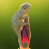 Khaki Marketing logo - Similar company to Destra Marketing