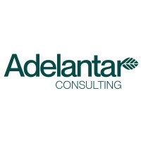 Adelantar Consulting logo - Similar company to Arctic Construction Ltd.