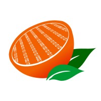 Citrus Technology Group logo - Similar company to Citrus Sports Software