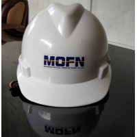 Myanmar Optical Fiber Network Co Ltd logo - Similar company to Arise Power Solutions