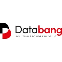 DataBang logo - Similar company to Data Nomad