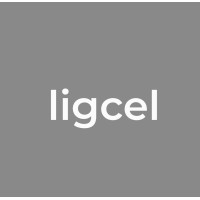 Ligcel logo - Similar company to Cygmatech