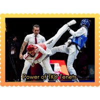 TaekwondoKing logo - Similar company to Protein Shaker Bottle Petg Water Jug Supplier