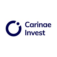 Carinae Invest logo - Similar company to Dataone