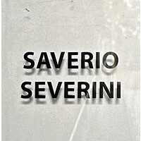 Saverio Severini Srl logo - Similar company to Strategica-Mente Marketingsolution
