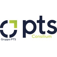 PTS Consilium logo - Similar company to 24 Consulting