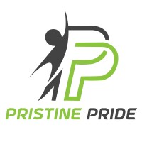 Pristinepride IT Private Limited logo - Similar company to It-Sa India