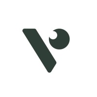 Visualica logo - Similar company to Stonks Group