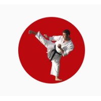 SportsandMartialArts.com logo - Similar company to Xplore Taekwondo Demonstration Team