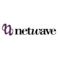 Netwave Corporation logo - Similar company to Netwave