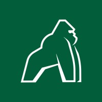 JUNGLE BOX logo - Similar company to Denali Immobilier Sa