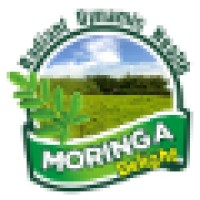 Moringa Delight