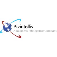 Bizintellis logo - Similar company to Vivin Solution Fzco