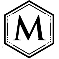 Mirror Max Group logo - Similar company to Canbus Academy