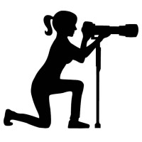 Kick It To Me Photography logo - Similar company to Curvy Bombshells
