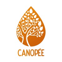 Canopée, coopérative en agroforesterie logo - Similar company to Apaf, Associations Pour La Promotion Des Arbres Fertilitaires, De L'Agroforesterie Et La Foresterie