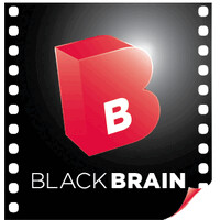 Black Brain Pictures logo - Similar company to The Audioroom