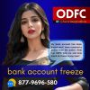 ODFC Financial Services for Senior Citizen (INDIA) logo - Similar company to The Second Inning Senior Citizen Home