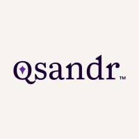 Qsandr logo - Similar company to Traventoura