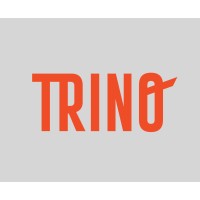 TRINO logo - Similar company to Trino - Gestão De Serviços