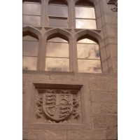 UCC School of Management & Marketing logo - Similar company to Schick By Sirona