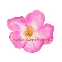 Bach Flower Education, Living Enrichment logo - Similar company to Doty Scientific