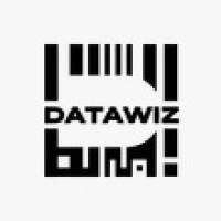 Data Wizards logo - Similar company to S&K Data Services