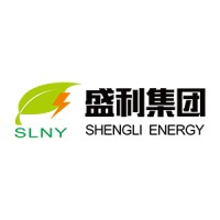 Guangdong Shengli High-Tech Energy Technology Co., Ltd. logo - Similar company to Shenzhen Safecloud Energy Inc.