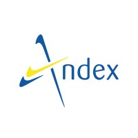 Andex International logo - Similar company to Aiventu | Microsoft Partner