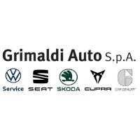 Grimaldi Auto S.p.A. logo - Similar company to Sicurauto