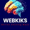 Webkiks logo - Similar company to Codeoozes It Solutions And Services