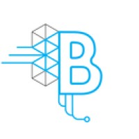 Broker Integration Strategies logo - Similar company to Ba&B
