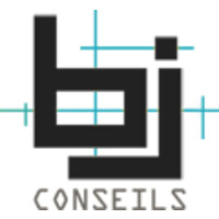 BJ Conseils logo - Similar company to Pixels Ingénierie