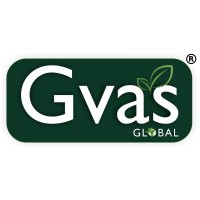 Gvas Global Services LLP logo - Similar company to Tea1989 Sambhav