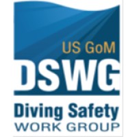 US GoM Diving Safety Workgroup (DSWG) logo - Similar company to Nicd