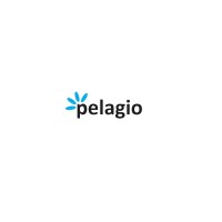 Pelagioinvest logo - Similar company to Stratifi.Ng