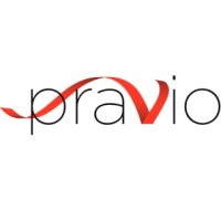 PRAVIO Group logo - Similar company to Nitel