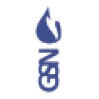 «Gazstroyneft», Llc («Th Gsn», Llc From 01.01.15)